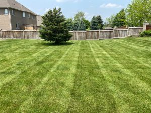 Lawn Cutting Services - GTA