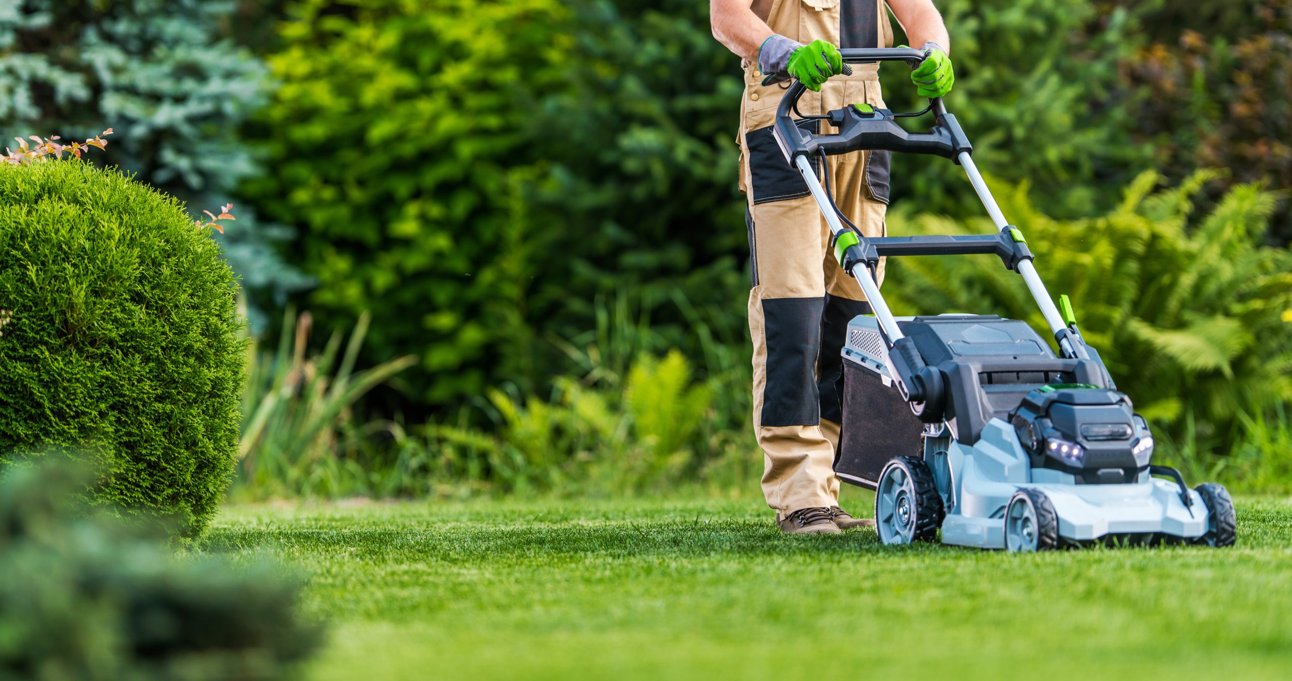 Weekly Lawn Care Maintenance, GTA