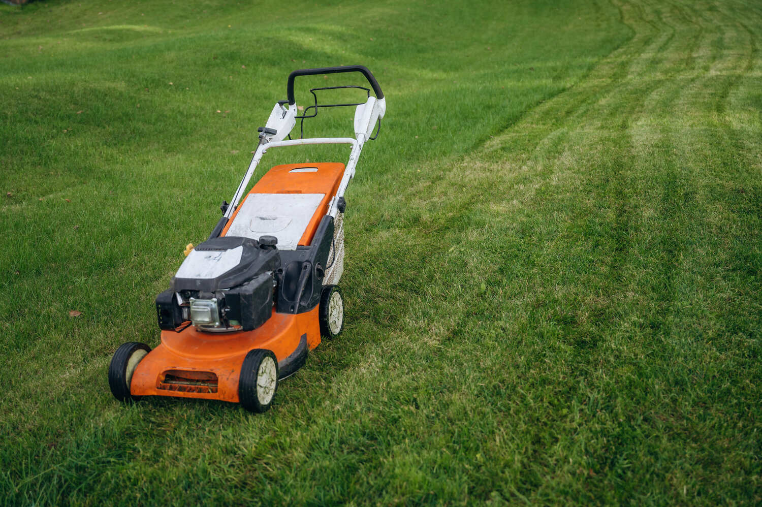 Weekly Lawn Care Maintenance, GTA