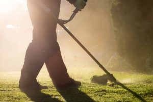 Weekly Lawncare Maintenance, GTA