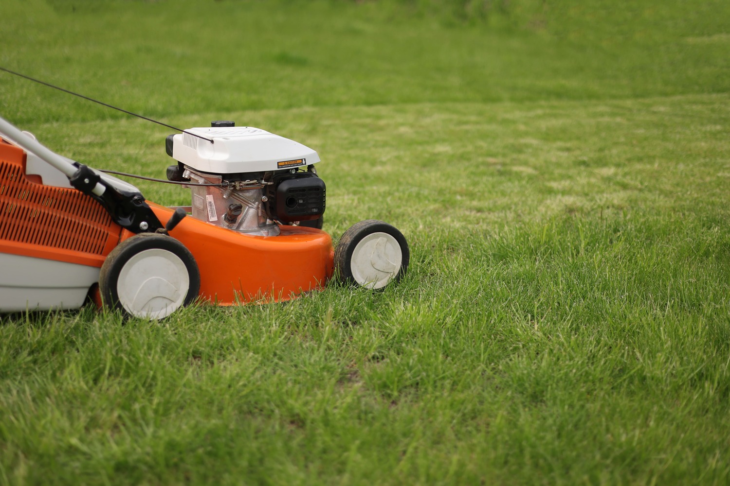 Weekly Lawn Care Maintenance, GTA