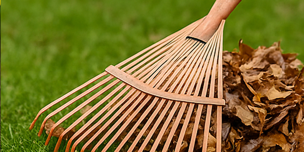 Fall & Spring Cleanup, GTA
